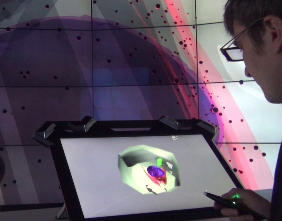 Holographic display showing a human cell in a CAVE.