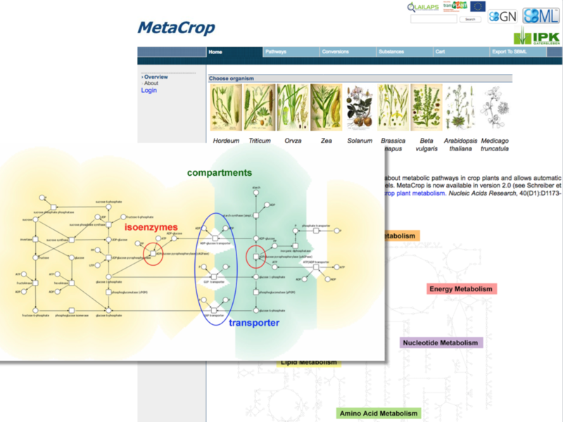 Example image of Meta-All and MetaCrop database.